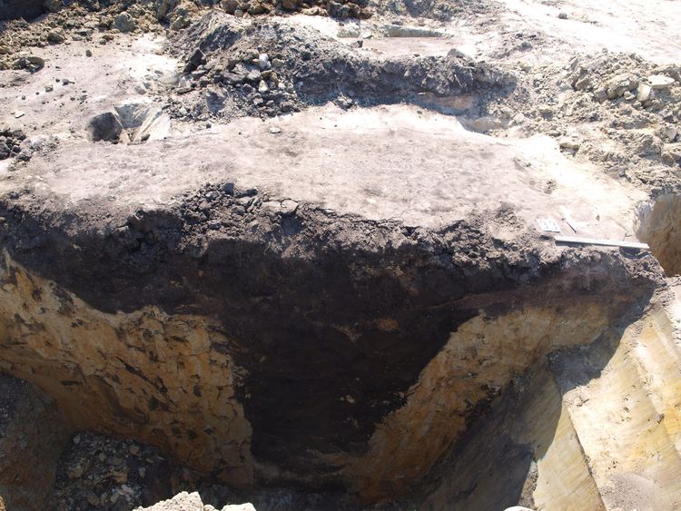 badania archeologiczne na trasie budowy obwodnicy Wronek