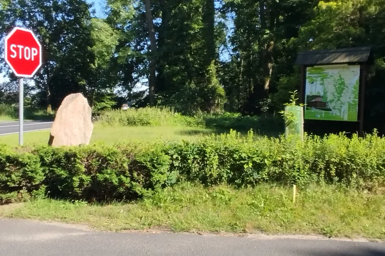 Aktualny stan drogi wojew&oacute;dzkiej nr 308