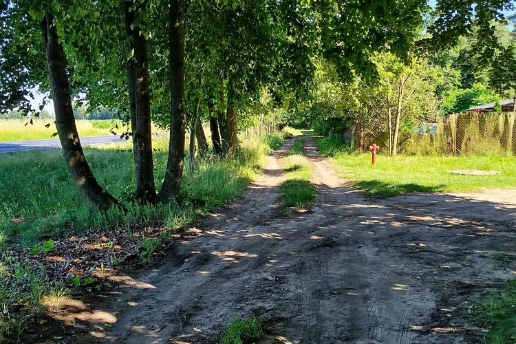 Aktualny stan drogi wojew&oacute;dzkiej nr 308