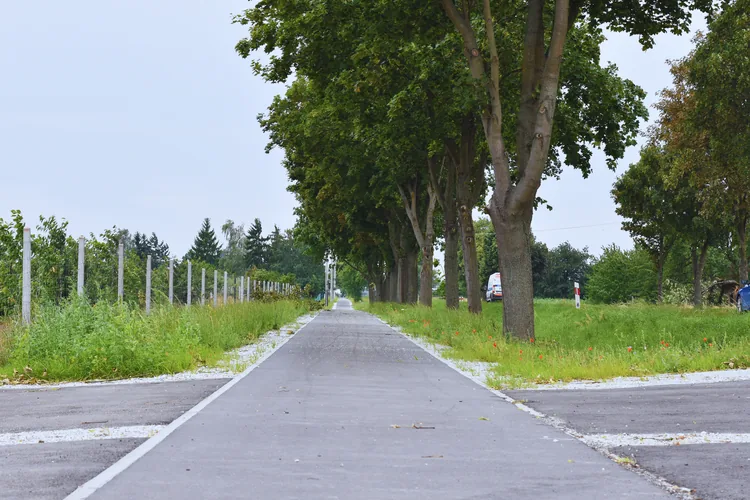 Nowa droga dla rower&oacute;w na odcinku Krzywiń &ndash; Jerka